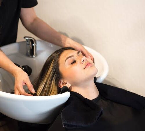 Women's Haircut And Basic Styling